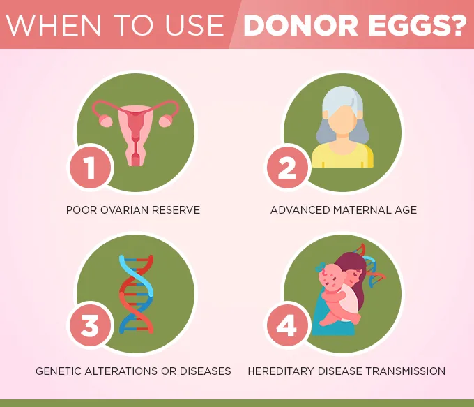 Egg donation