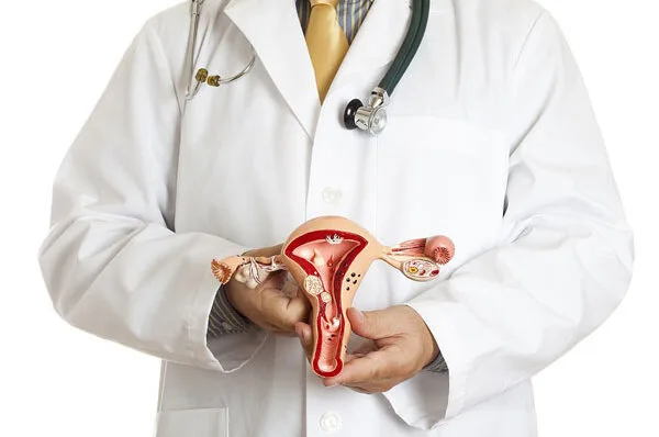Services 7 Fibroid Management