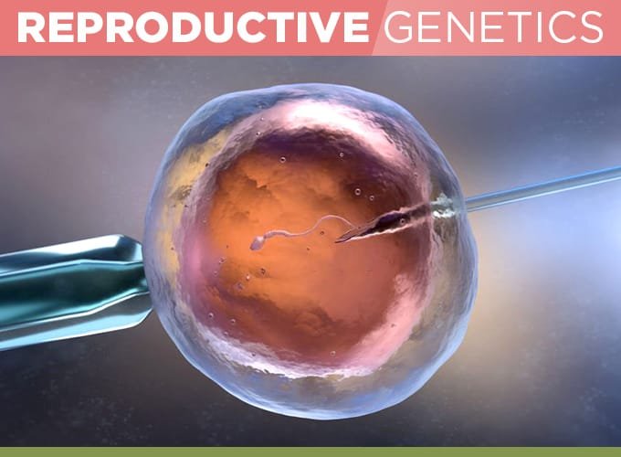 reproductive genetics