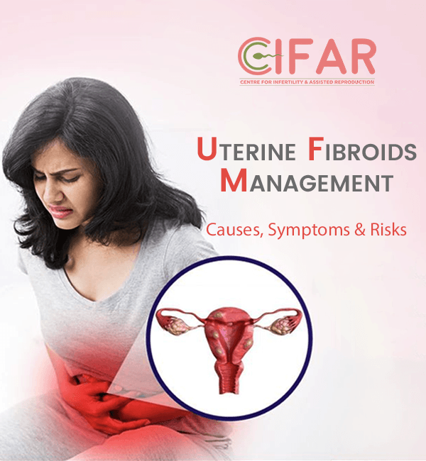 Uterine Fibroid Management: Causes, Symptoms, Treatments, and Risks 1 Uterine Fibroid Management: Causes, Symptoms, Treatments, and Risks