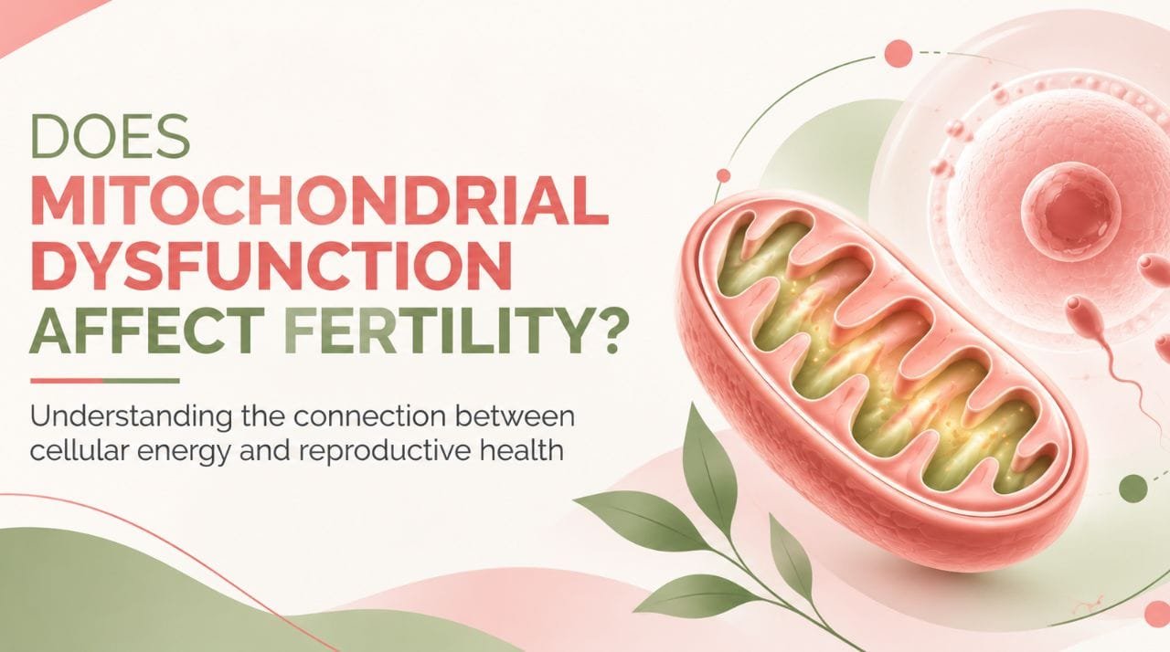 Does Mitochondrial dysfunction affect fertility?