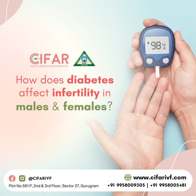 How does diabetes affect infertility in males and females?