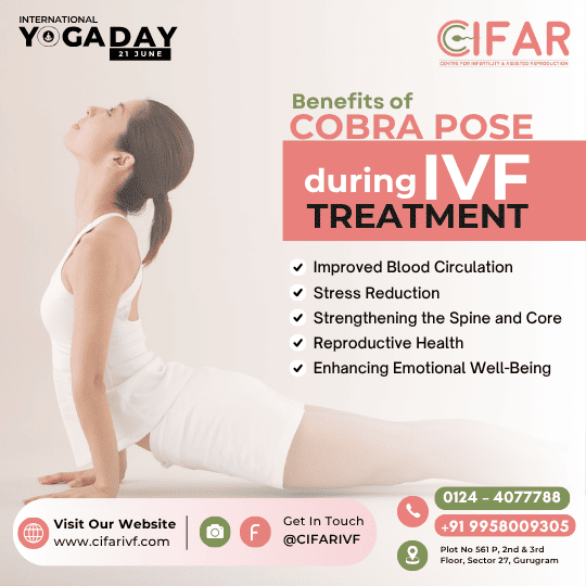 Yoga During IVF Treatment: Is It Safe? Ask IVF Expert in India 2 28