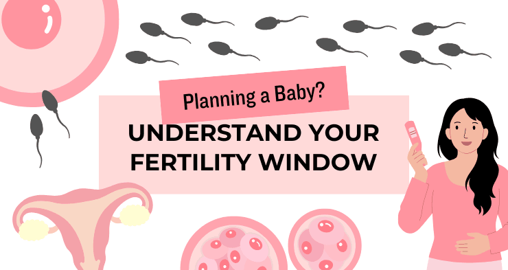 Menopause & Fertility – What Every Woman Should Know Before Planning Pregnancy?