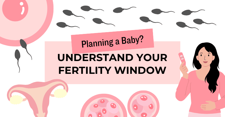 Menopause & Fertility – What Every Woman Should Know Before Planning Pregnancy?